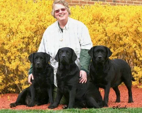 Mrs. Dr. Karen Helmers