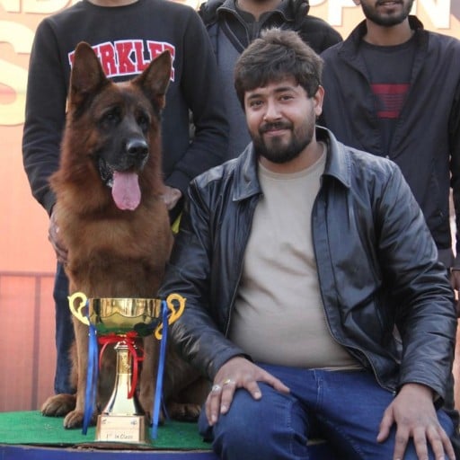 Hammad Sahil